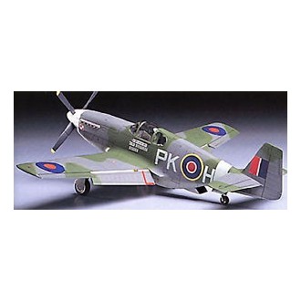 1:48 RAF MUSTANG III