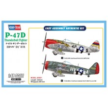 1:48 P-47D Thunderbolt Fighter 